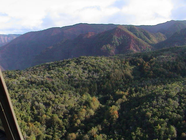 dsc00013.jpg