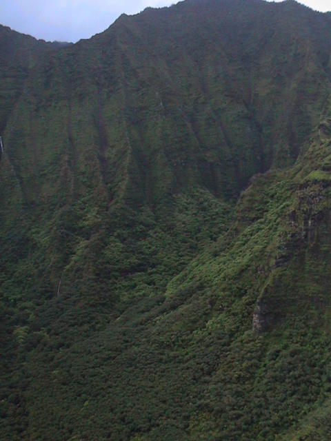 dsc00035.jpg