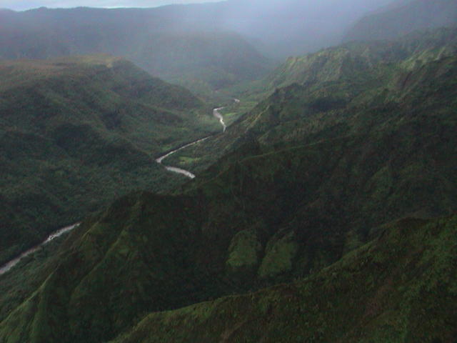 dsc00049.jpg
