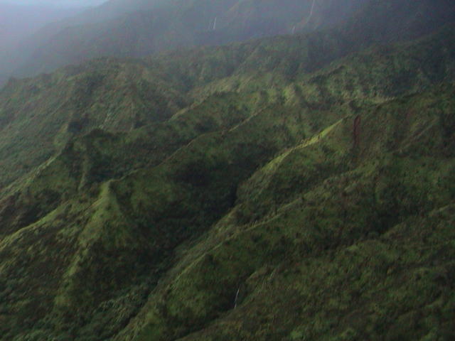 dsc00050.jpg