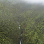 dsc00053.jpg