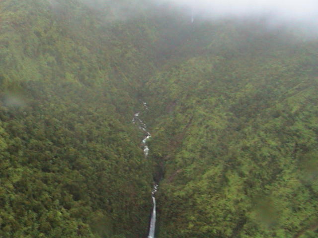 dsc00053.jpg