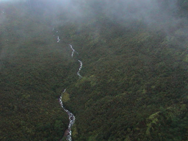 dsc00054.jpg