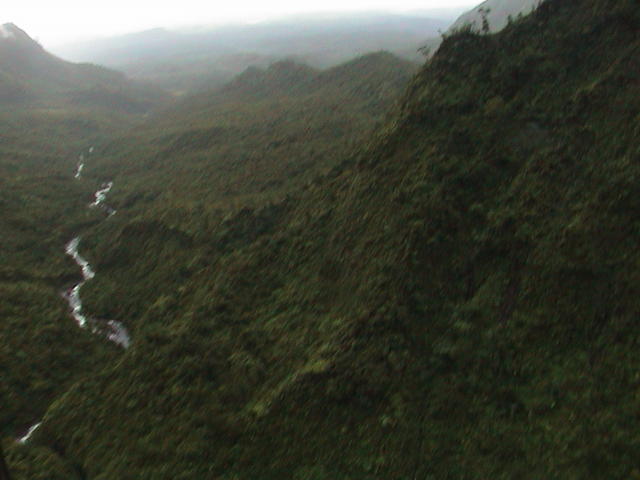 dsc00058.jpg