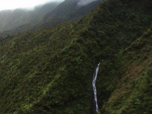 dsc00059.jpg