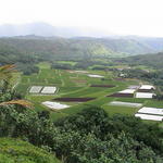 dsc00062.jpg
