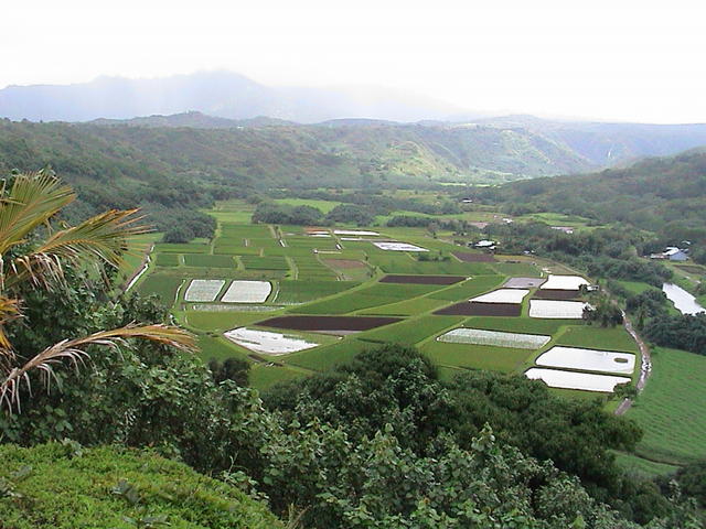dsc00062.jpg