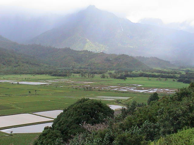 dsc00063.jpg