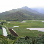 dsc00064.jpg