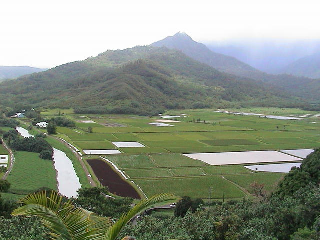 dsc00064.jpg