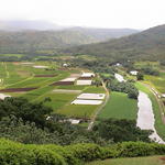 dsc00065.jpg