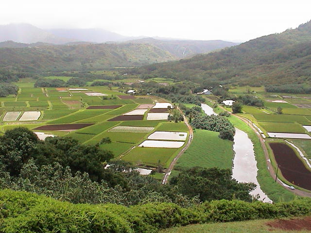 dsc00065.jpg