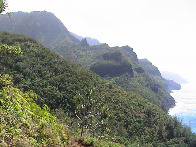 dsc00068.jpg