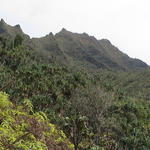 dsc00069.jpg