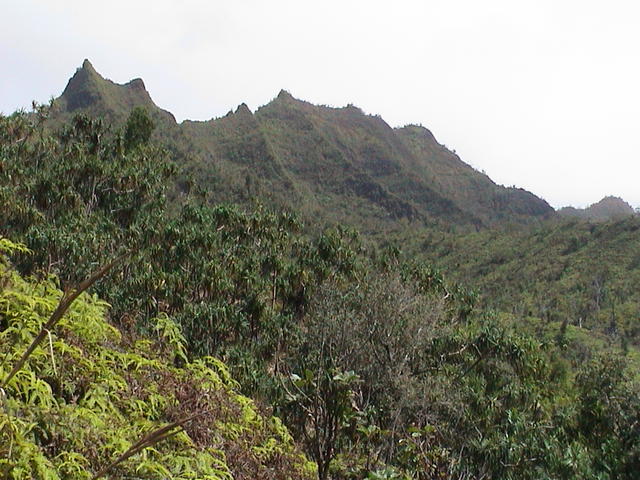 dsc00069.jpg
