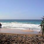 dsc00071.jpg