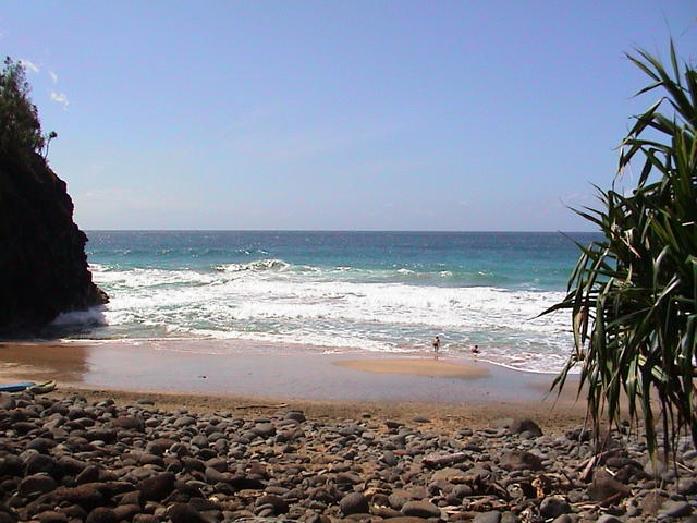 dsc00071.jpg