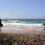 dsc00072.jpg