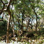 dsc00073.jpg