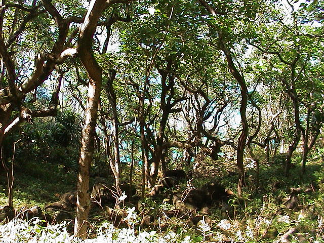 dsc00073.jpg