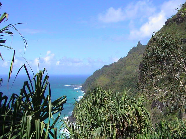 dsc00074.jpg