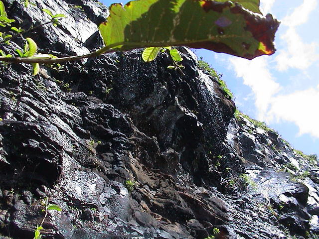 dsc00076.jpg