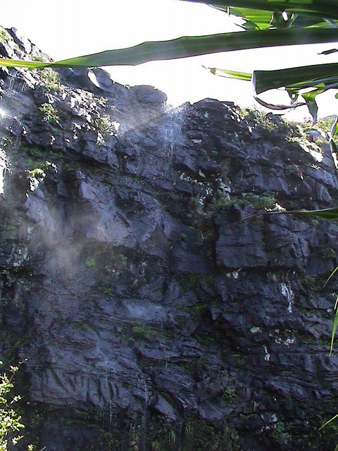 dsc00077.jpg