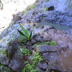 dsc00079.jpg