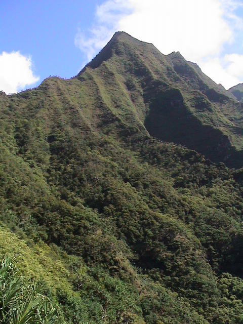dsc00080.jpg