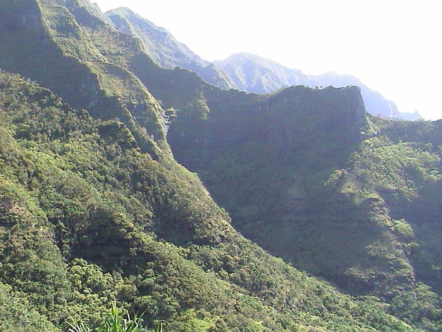 dsc00081.jpg