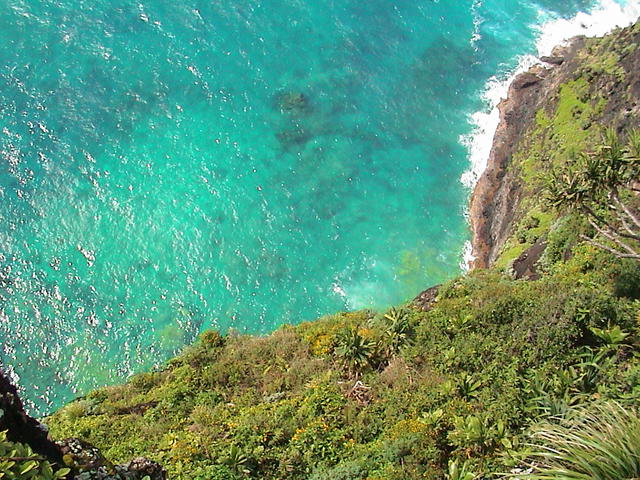 dsc00085.jpg
