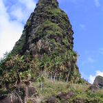 dsc00086.jpg