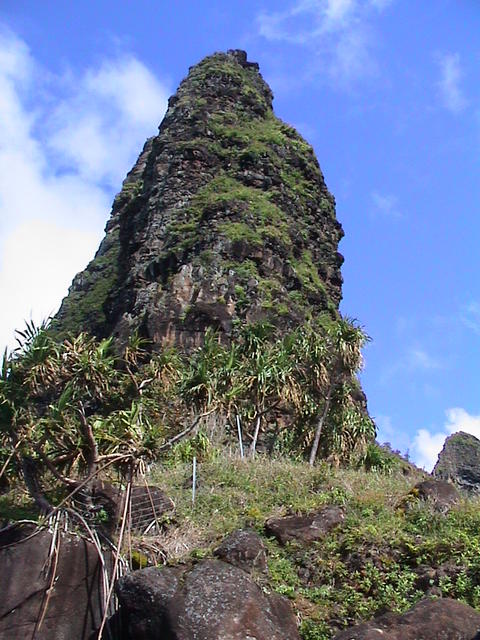 dsc00086.jpg