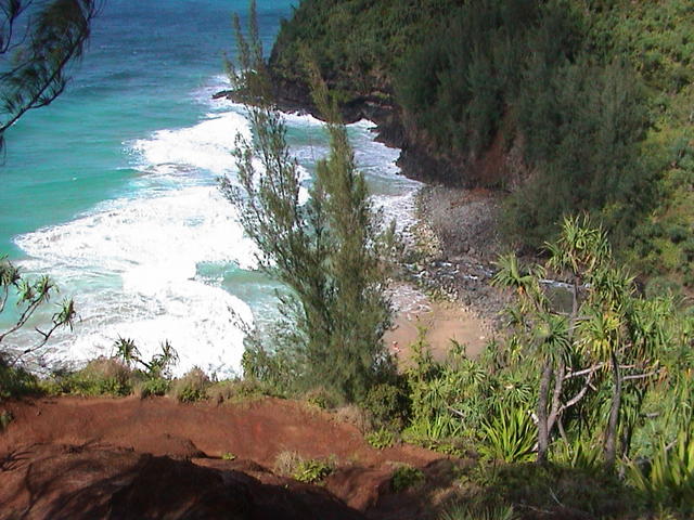 dsc00089.jpg
