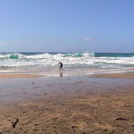 dsc00091.jpg