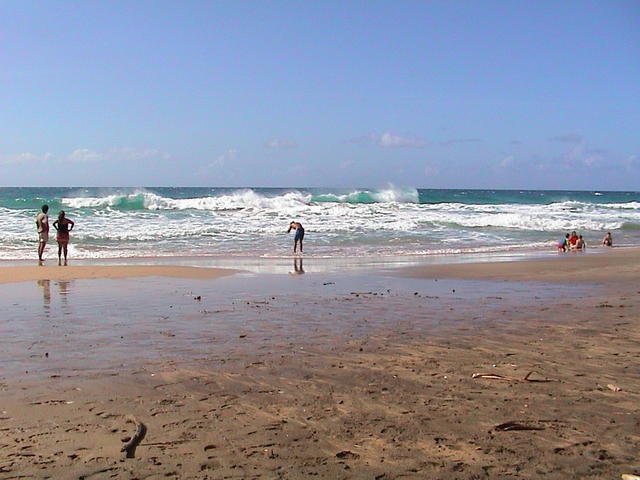 dsc00091.jpg