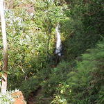 dsc00092.jpg