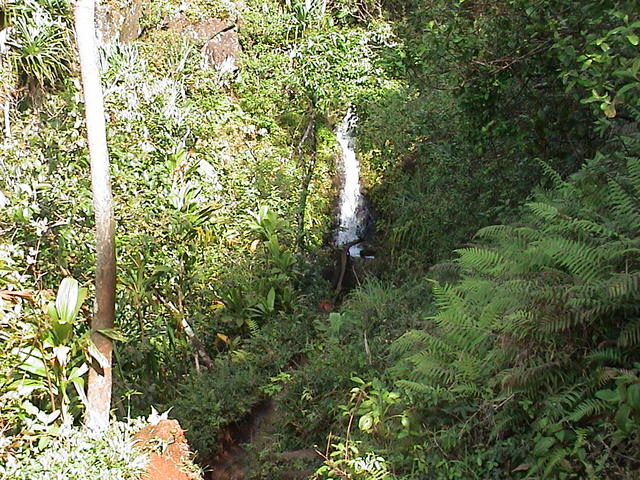 dsc00092.jpg