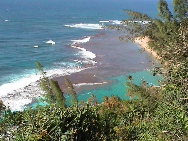 dsc00095.jpg