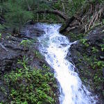 dsc00096.jpg