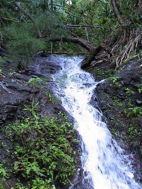 dsc00096.jpg