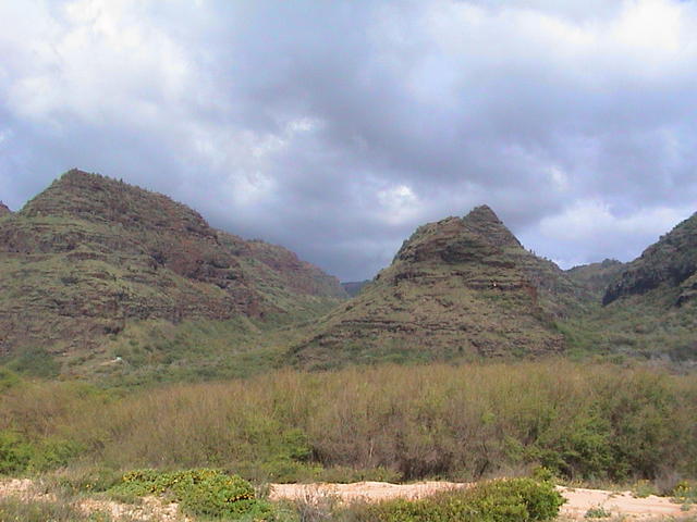 dsc00098.jpg
