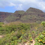 dsc00099.jpg