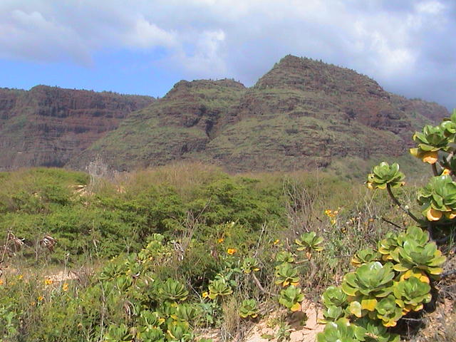 dsc00099.jpg