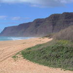 dsc00100.jpg