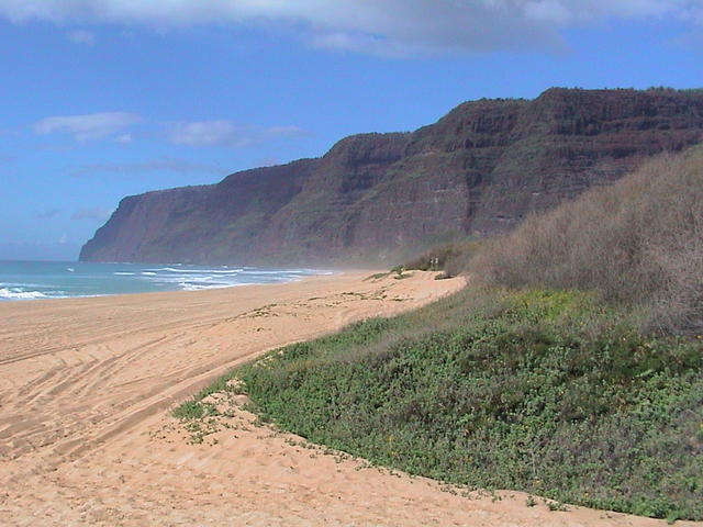 dsc00100.jpg