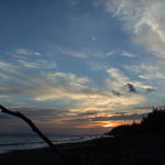 dsc00107.jpg