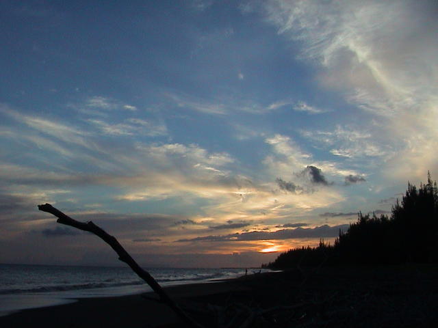 dsc00107.jpg