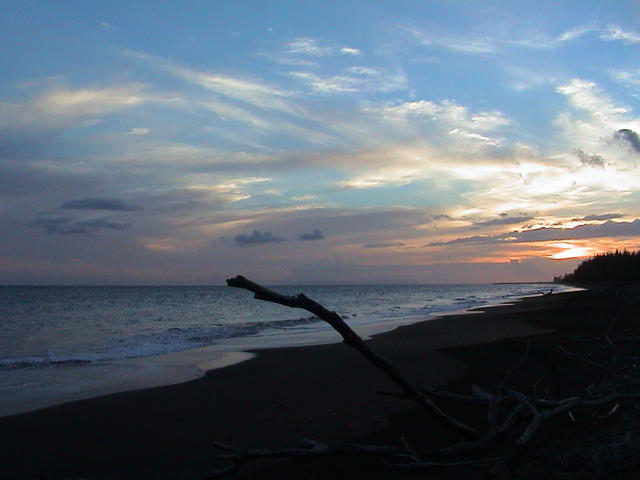 dsc00108.jpg