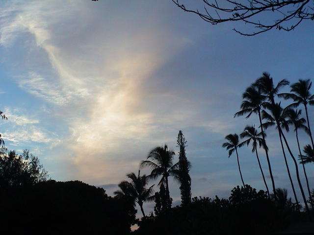 dsc00109.jpg